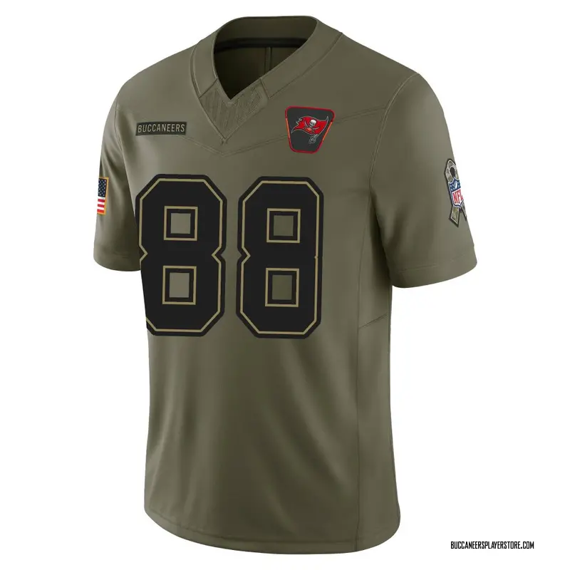 Nike Cade Otton Tampa Bay Buccaneers Limited Olive 2025 Salute to Service Jersey - Men's