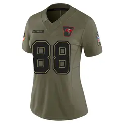Nike Cade Otton Tampa Bay Buccaneers Limited Olive 2025 Salute to Service Jersey - Women's