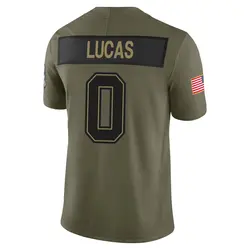 Nike Chase Lucas Tampa Bay Buccaneers Limited Olive 2025 Salute to Service Jersey - Men's