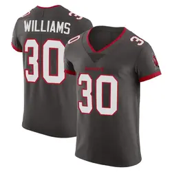 Nike D.J. Williams Tampa Bay Buccaneers Elite Pewter Alternate Vapor Jersey - Men's