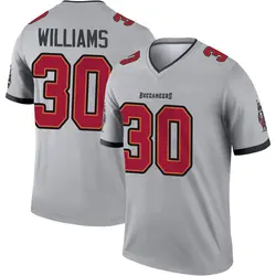 Nike D.J. Williams Tampa Bay Buccaneers Legend Gray Inverted Jersey - Men's