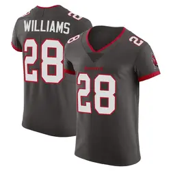 Nike Damarion Williams Tampa Bay Buccaneers Elite Pewter Alternate Vapor Jersey - Men's