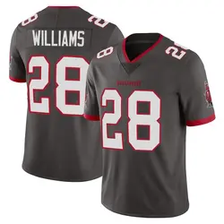 Nike Damarion Williams Tampa Bay Buccaneers Limited Pewter Alternate Vapor Jersey - Youth