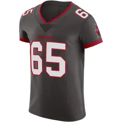 Nike Dan Feeney Tampa Bay Buccaneers Elite Pewter Alternate Vapor Jersey - Men's