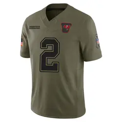 Nike Emeka Egbuka Tampa Bay Buccaneers Limited Olive 2025 Salute to Service Jersey - Youth