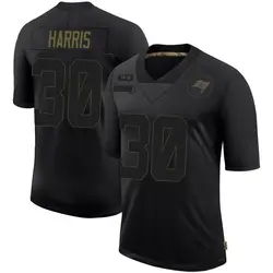 Nike Jacob Harris Tampa Bay Buccaneers Limited Black 2020 Salute To Service Jersey - Men's