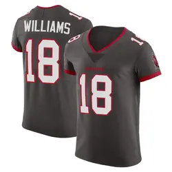 Nike Josh Williams Tampa Bay Buccaneers Elite Pewter Alternate Vapor Jersey - Men's