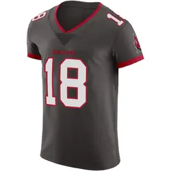 Nike Josh Williams Tampa Bay Buccaneers Elite Pewter Alternate Vapor Jersey - Men's