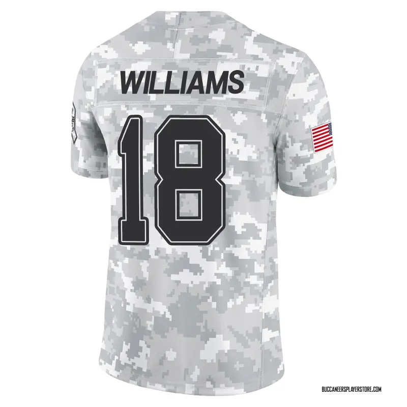 Nike Josh Williams Tampa Bay Buccaneers Limited Arctic Camo 2024 Salute to Service Jersey - Men's
