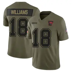 Nike Josh Williams Tampa Bay Buccaneers Limited Olive 2025 Salute to Service Jersey - Men's