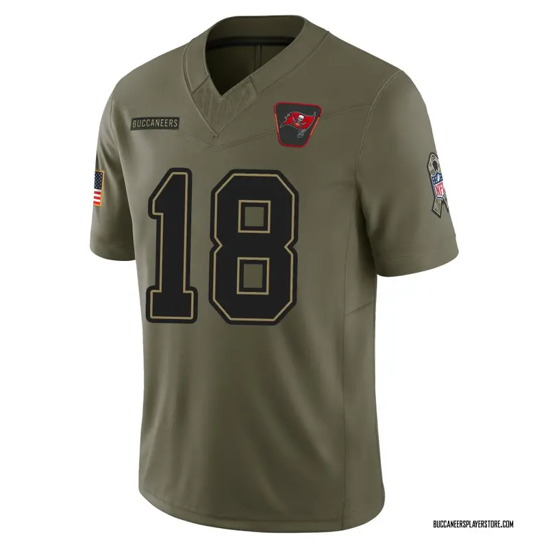 Nike Josh Williams Tampa Bay Buccaneers Limited Olive 2025 Salute to Service Jersey - Youth