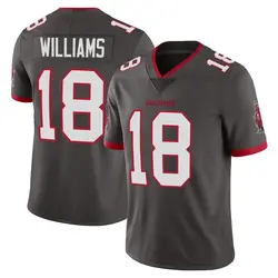 Nike Josh Williams Tampa Bay Buccaneers Limited Pewter Alternate Vapor Jersey - Youth