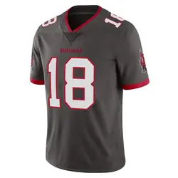 Nike Josh Williams Tampa Bay Buccaneers Limited Pewter Alternate Vapor Jersey - Youth