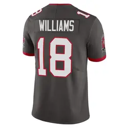 Nike Josh Williams Tampa Bay Buccaneers Limited Pewter Alternate Vapor Jersey - Youth