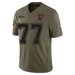 Nike Justin Skule Tampa Bay Buccaneers Limited Olive 2025 Salute to Service Jersey - Men's