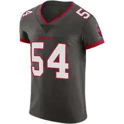 Nike Lavonte David Tampa Bay Buccaneers Elite Pewter Alternate Vapor Jersey - Men's