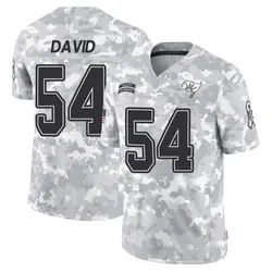 Nike Lavonte David Tampa Bay Buccaneers Limited Arctic Camo 2024 Salute to Service Jersey - Men's