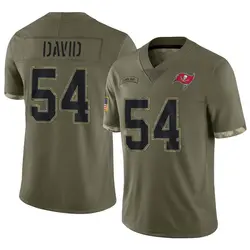Nike Lavonte David Tampa Bay Buccaneers Limited Olive 2022 Salute To Service Jersey - Youth