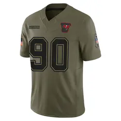 Nike Logan Hall Tampa Bay Buccaneers Limited Olive 2025 Salute to Service Jersey - Youth