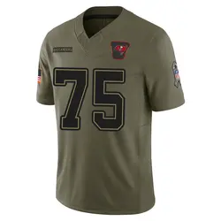 Nike Raiqwon O'Neal Tampa Bay Buccaneers Limited Olive 2025 Salute to Service Jersey - Youth