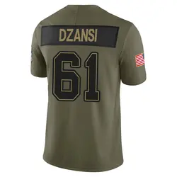 Nike Silas Dzansi Tampa Bay Buccaneers Limited Olive 2025 Salute to Service Jersey - Men's