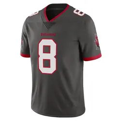 Nike SirVocea Dennis Tampa Bay Buccaneers Limited Pewter Alternate Vapor Jersey - Youth