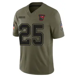 Nike Troy Hill Tampa Bay Buccaneers Limited Olive 2025 Salute to Service Jersey - Youth