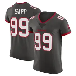 Nike Warren Sapp Tampa Bay Buccaneers Elite Pewter Alternate Vapor Jersey - Men's